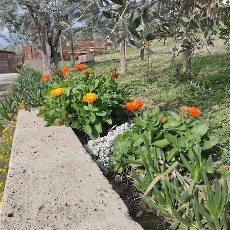 Дом отдыха Il Giardino Fiorito Санта-Луче