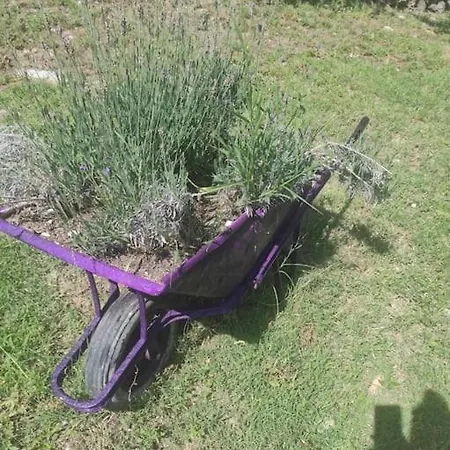 Дом отдыха Il Giardino Fiorito *