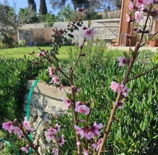 Il Giardino Fiorito Holiday home *